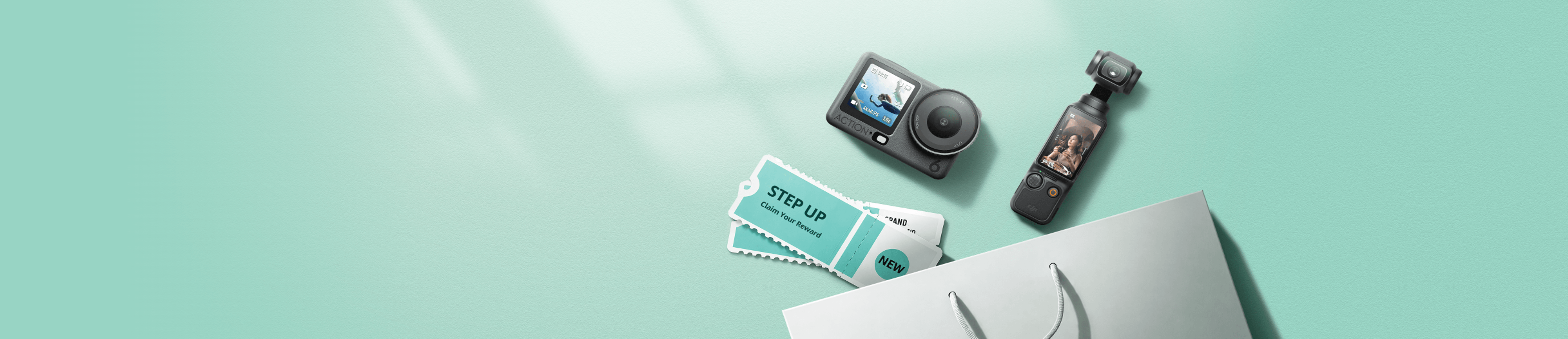 STEP-UP PROGRAM