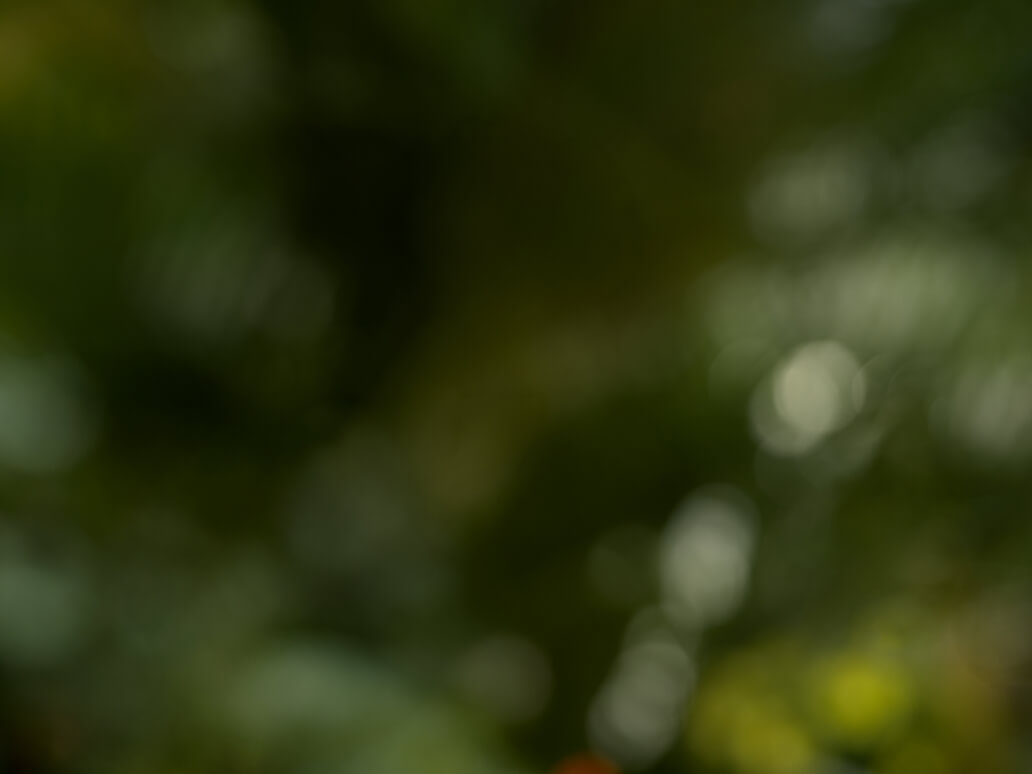 DJI Mic Mini 2