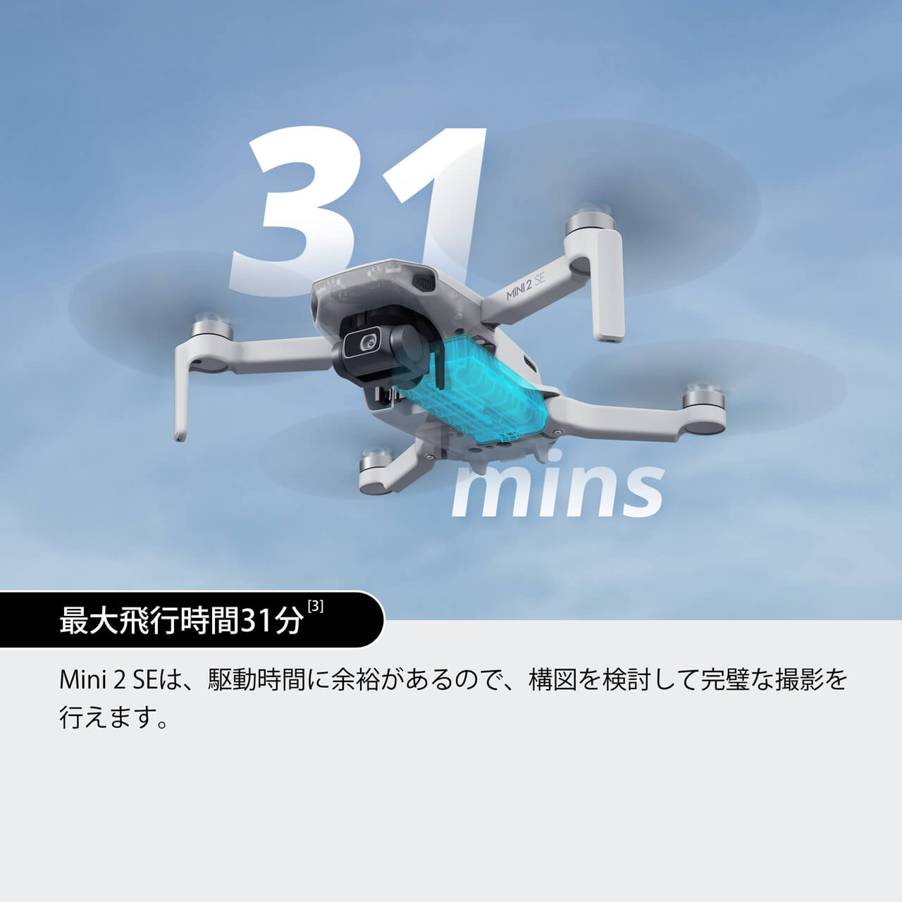 DJI Mini 2 SE購入 - DJI Store 
