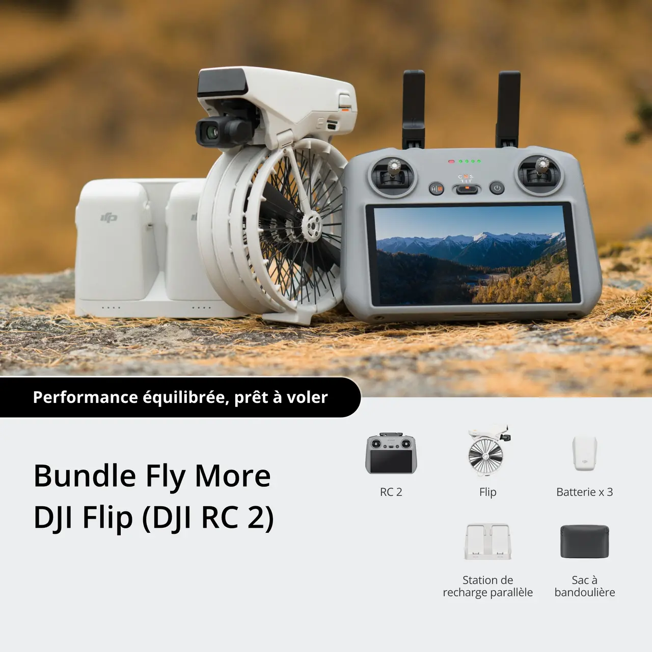 Bundle Fly More DJI Flip (DJI RC 2)