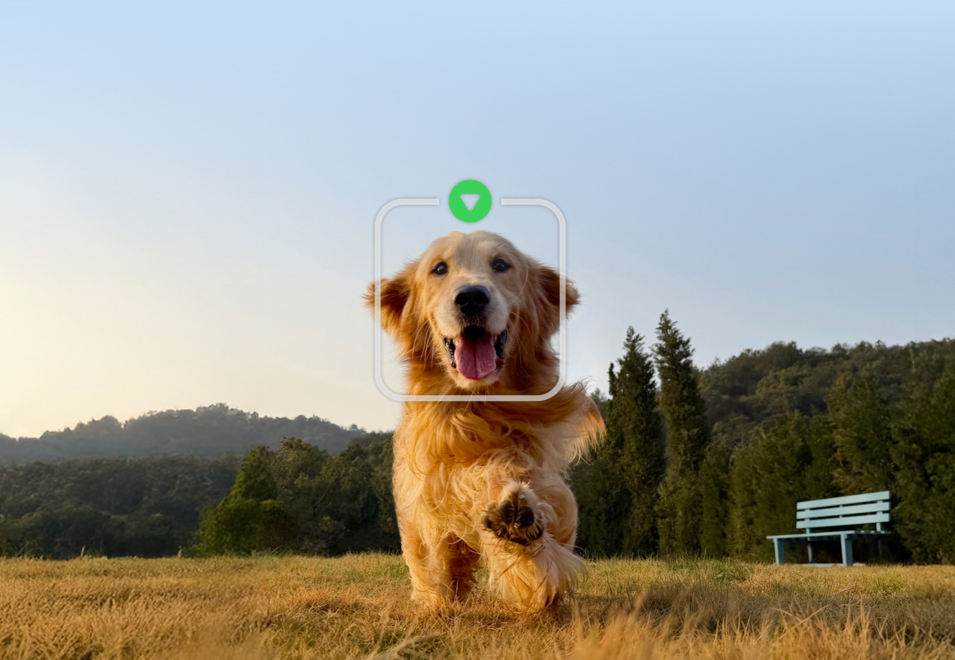 Enhanced subject tracking