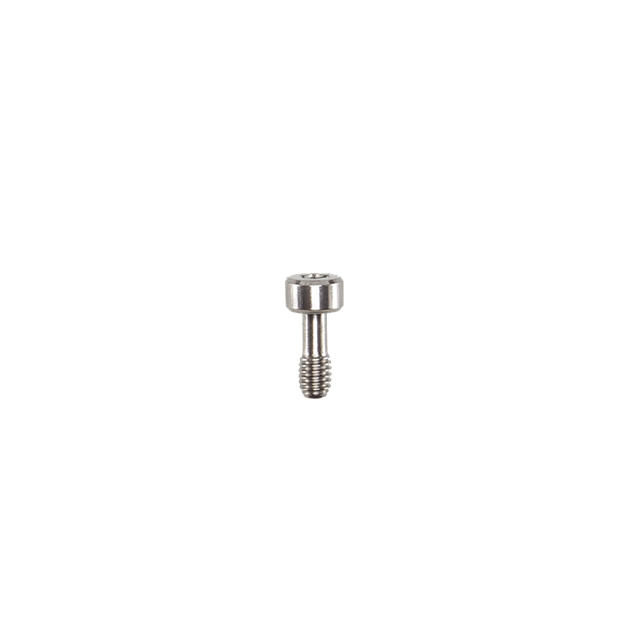 M4 Screw (10 mm)
